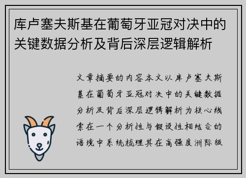 库卢塞夫斯基在葡萄牙亚冠对决中的关键数据分析及背后深层逻辑解析